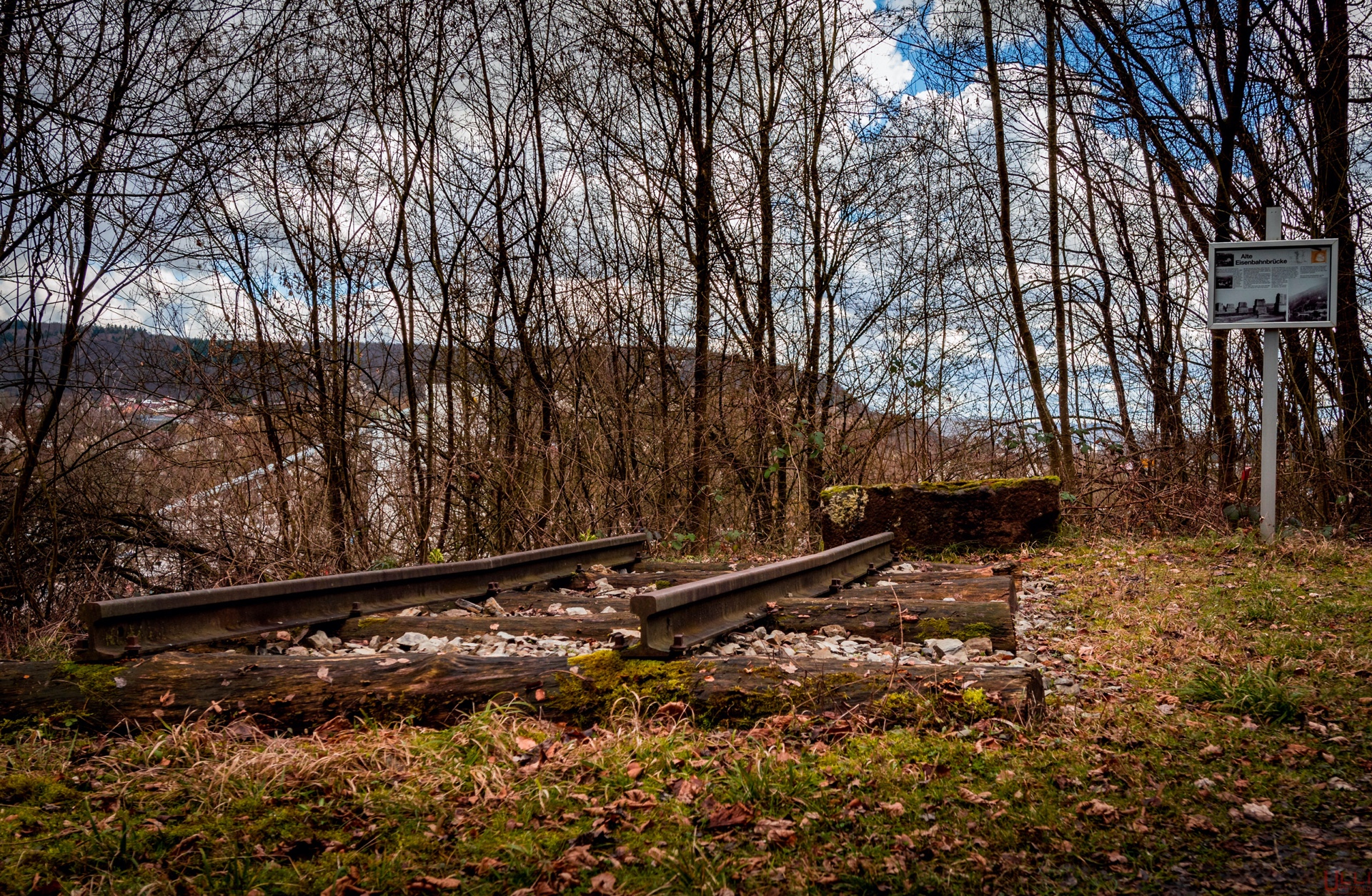 Goldfisch alte Eisenbahnbrücke